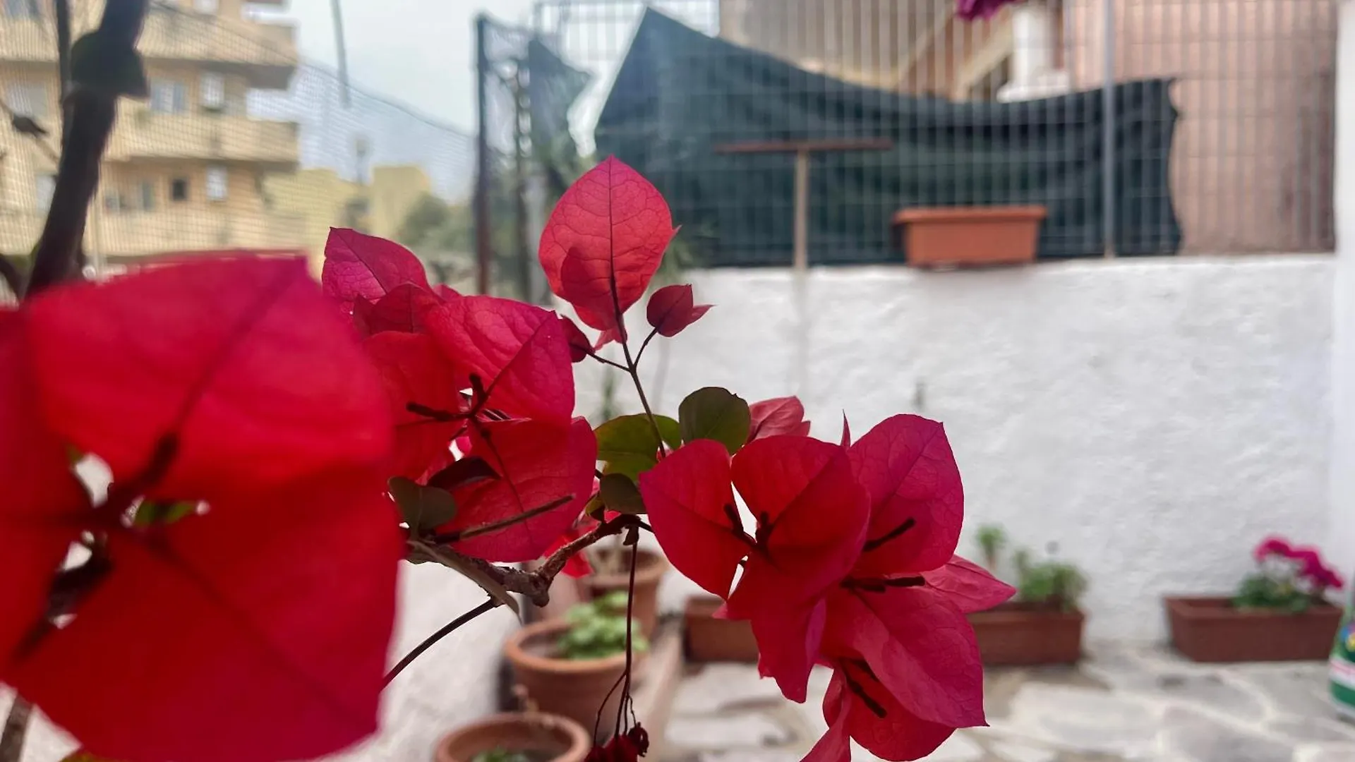 Apartmán Le Calle Homes Olbia