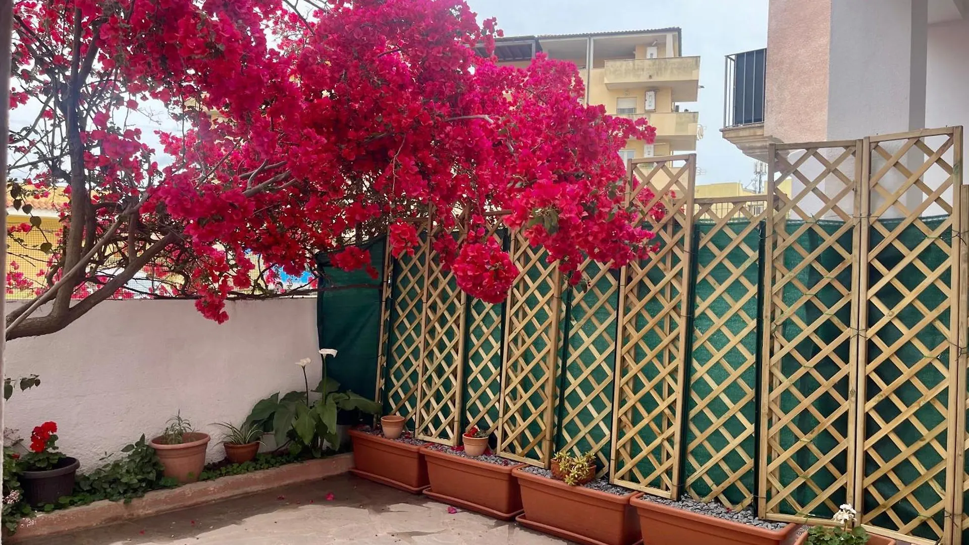 Apartment Le Calle Homes Olbia